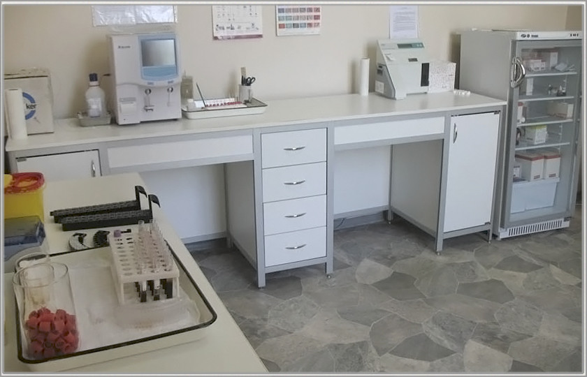 Лабораторная мебель с химически стойким покрытием, подлежащим дезинфекции